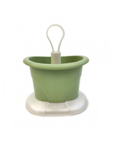 Colaposate Tulipano - Ecoplast