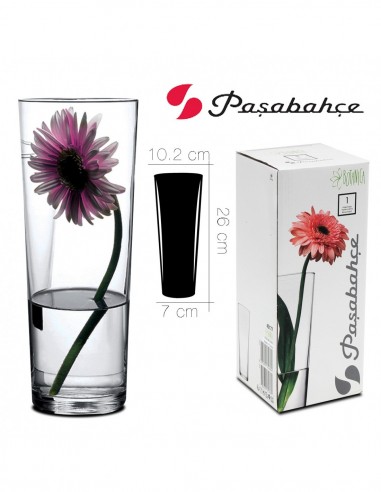 Vaso decorativo in vetro cm 26 - Pasabahce