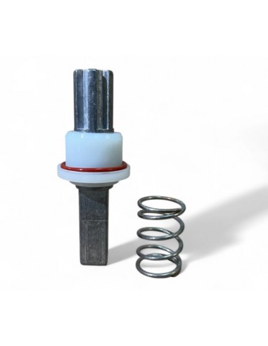 Ricambio kit giunto + molla F17316...